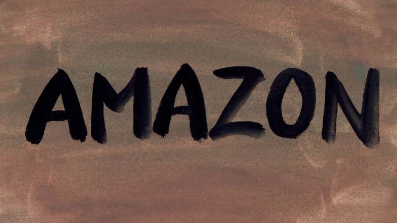 Amazone là một trong những mạng lưới lớn nhất hiện nay
