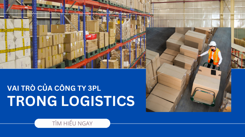 Vai Trò Của Công Ty 3PL Trong Logistics