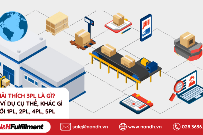 Giải Thích 3PL Là Gì? Lấy Ví Dụ Cụ Thể, Khác Gì Với 1PL, 2PL, 4PL, 5PL