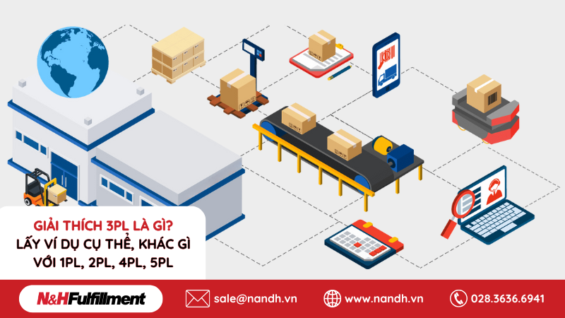 Giải Thích 3PL Là Gì? Lấy Ví Dụ Cụ Thể, Khác Gì Với 1PL, 2PL, 4PL, 5PL