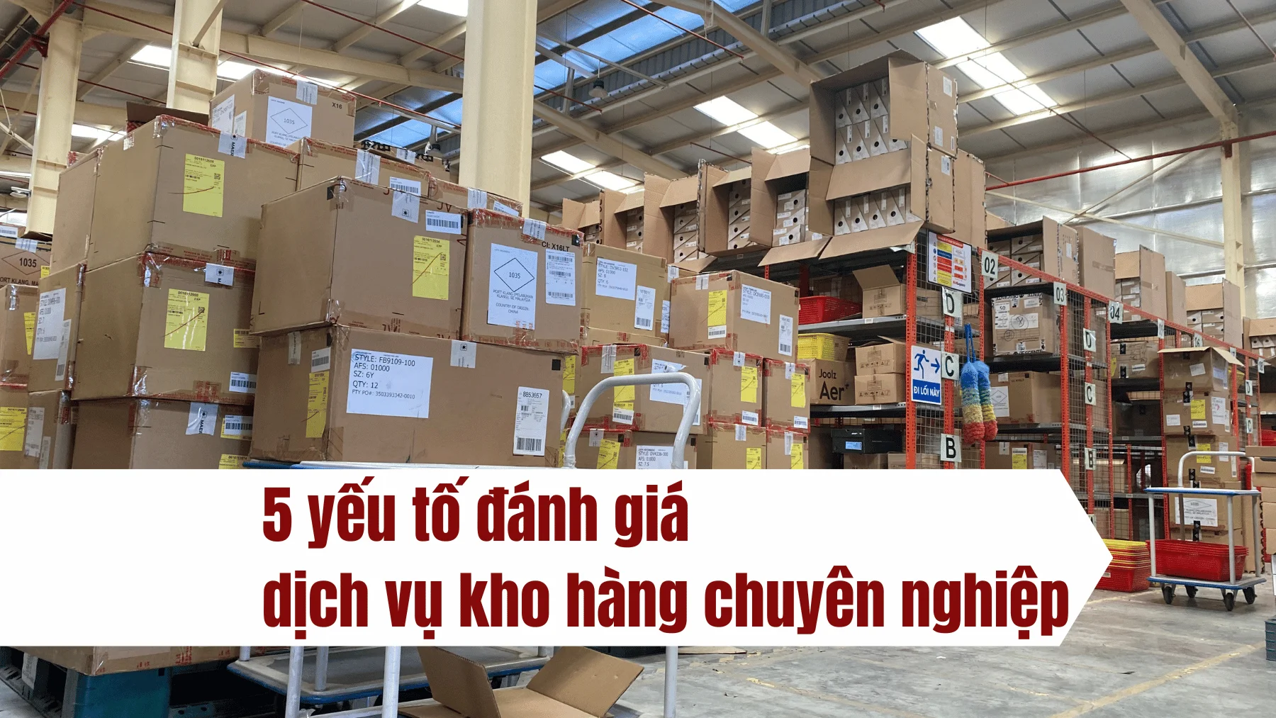 5 yếu tố đánh giá dịch vụ kho hàng chuyên nghiệp