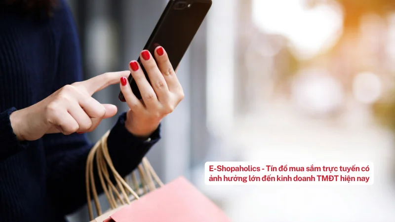 Tín đồ mua sắm trực tuyến hiện nay