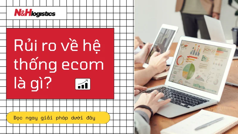 Rủi ro về hệ thống ecom là gì