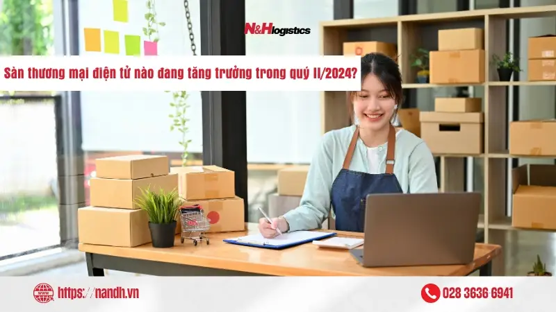 Sàn thương mại điện tử nào đang tăng trưởng trong quý II/2024?